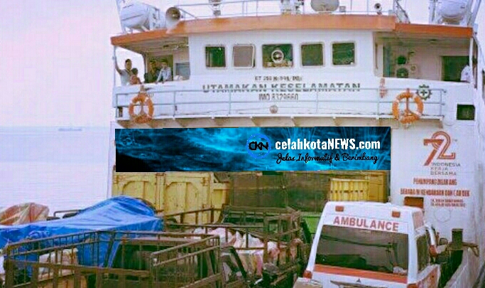 LogoLicious_20190101_213353