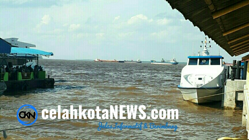 LogoLicious_20190103_154743