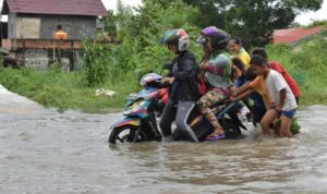 pemprov-riau-segera-tetapkan-status