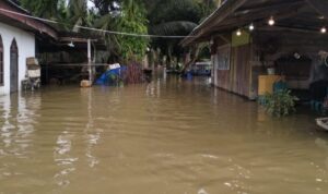 319-rumah-di-desa-buluh-cina-terend