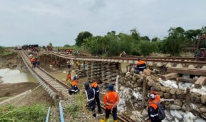 WhatsApp_Image_2025-01-23_at_10_51_34_e27a7be3