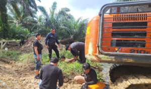 ketahuan-garap-kawasan-hutan-opera