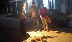 9-warga-pekanbaru-digigit-anjing-li