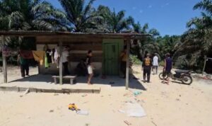 gajah-liar-mengamuk-di-permukiman-r